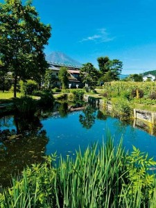 山梨県　忍野八海